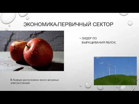 ЭКОНОМИКА:ПЕРВИЧНЫЙ СЕКТОР ЛИДЕР ПО ВЫРАЩИВАНИЯ ЯБЛОК. В Аомори расположено много ветряных электростанций.