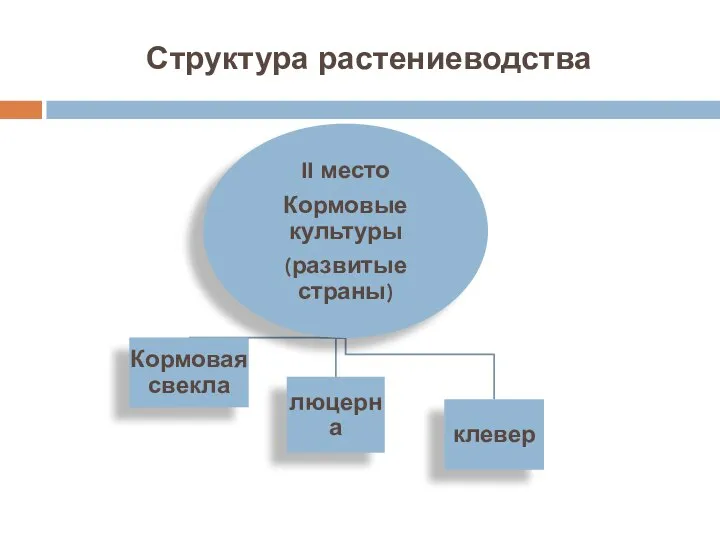 Структура растениеводства