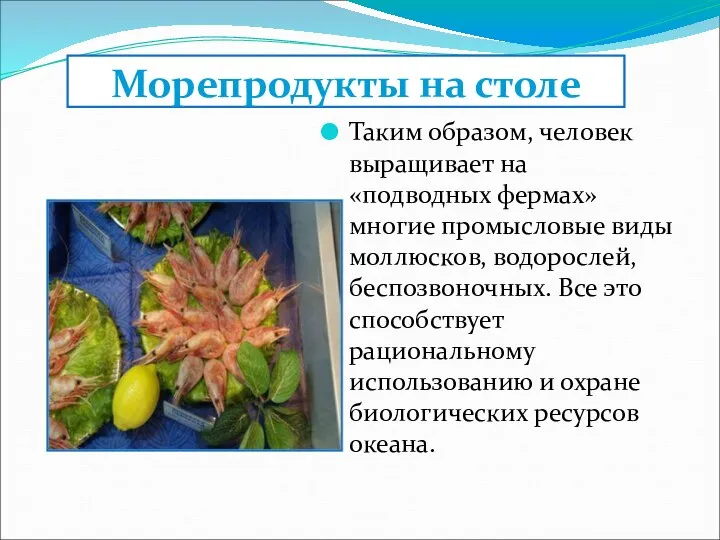 Морепродукты на столе Таким образом, человек выращивает на «подводных фермах» многие