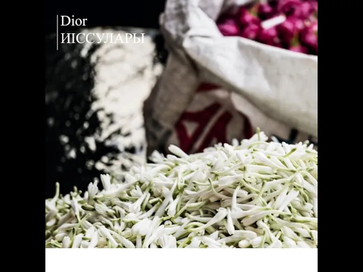 32 Dior ИІССУЛАРЫ