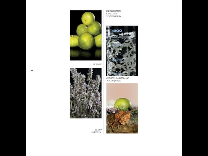 86 КАЛАБРИЙЛІК БЕРГАМОТ ЭССЕНЦИЯСЫ ВОКЛЮЗ ЛАВАНДАСЫ ЭССЕНЦИЯСЫ ГЕДИОН ШИПР АККОРДЫ