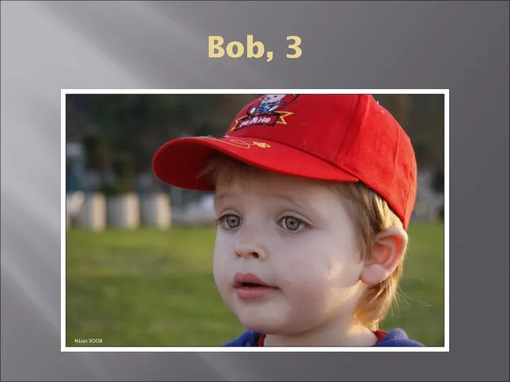 Bob, 3