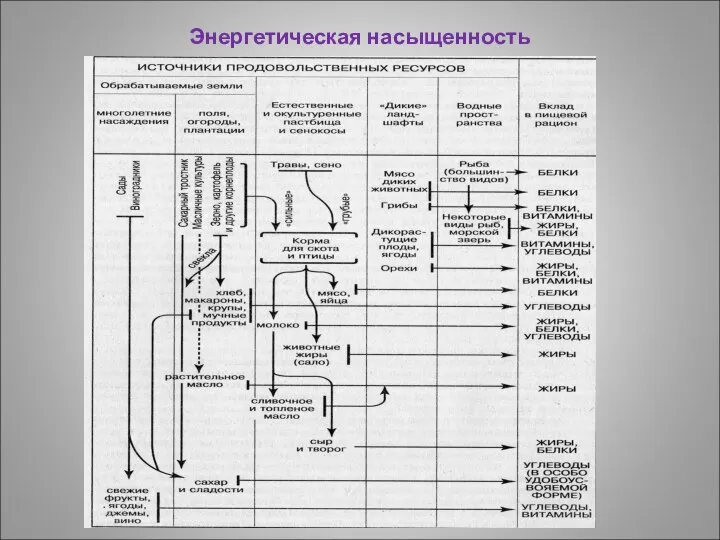 Энергетическая насыщенность