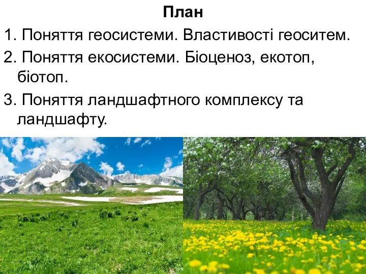 План 1. Поняття геосистеми. Властивості геоситем. 2. Поняття екосистеми. Біоценоз, екотоп,