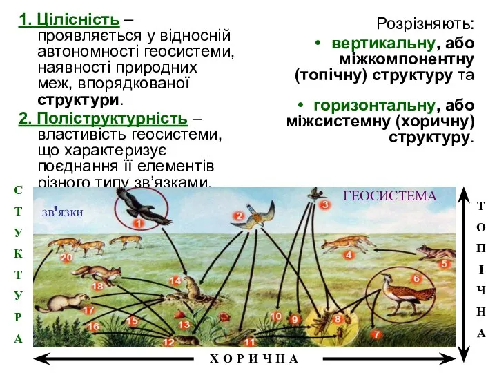 1. Цілісність – проявляється у відносній автономності геосистеми, наявності природних меж,