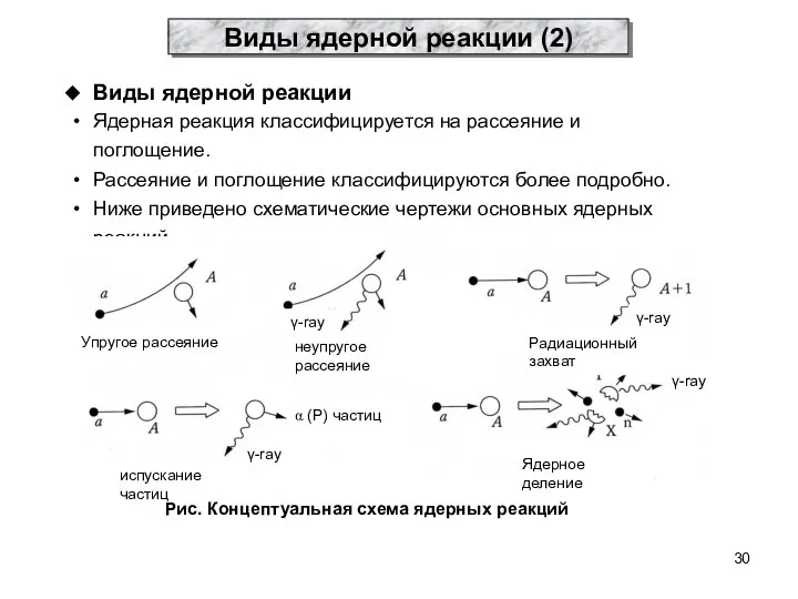 Виды ядерной реакции Ядерная реакция классифицируется на рассеяние и поглощение. Рассеяние