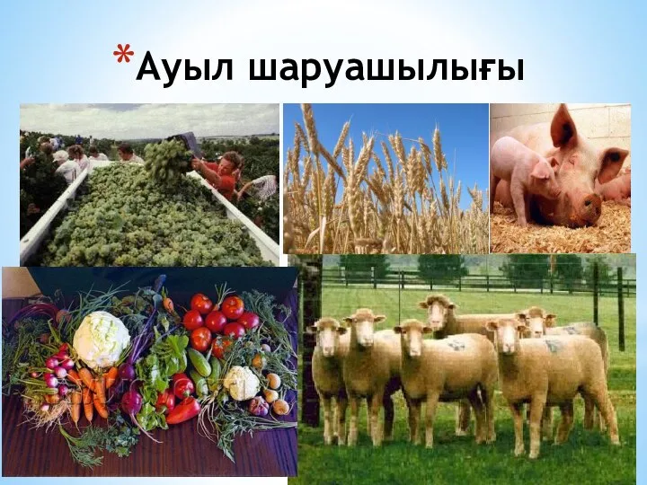 Ауыл шаруашылығы