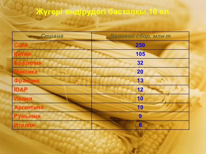 Жүгері өндірудегі бастапқы 10 ел