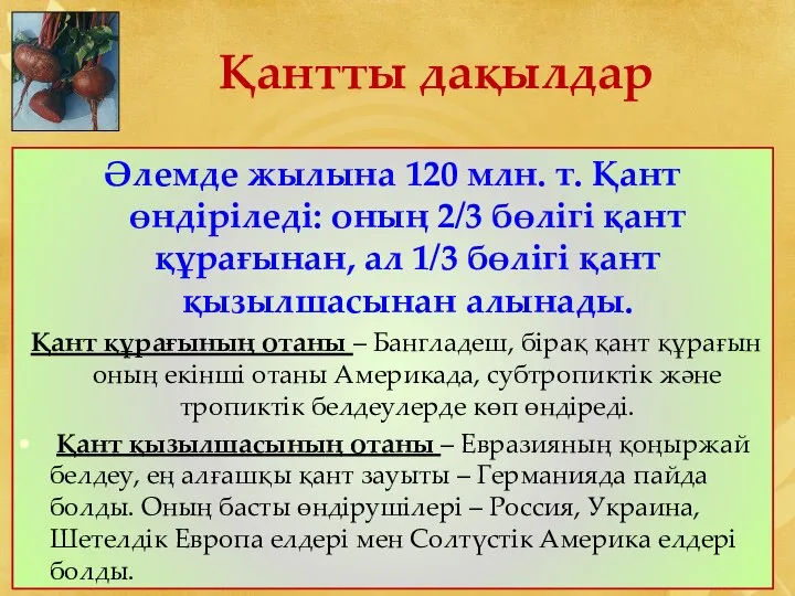 Қантты дақылдар Әлемде жылына 120 млн. т. Қант өндіріледі: оның 2/3