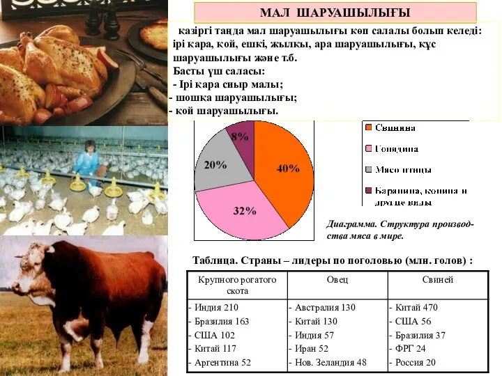 МАЛ ШАРУАШЫЛЫҒЫ қазіргі таңда мал шаруашылығы көп салалы болып келеді: ірі