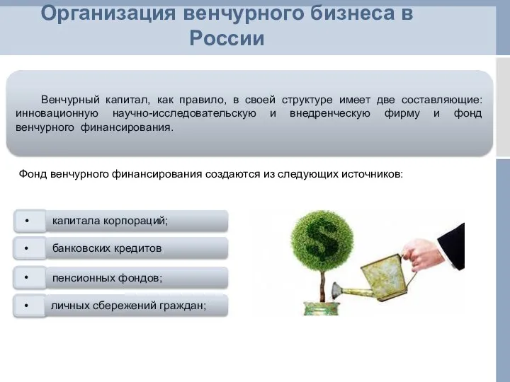 Организация венчурного бизнеса в России Венчурный капитал, как правило, в своей