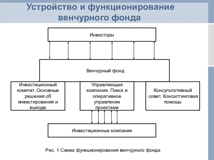 Устройство и функционирование венчурного фонда Инвесторы Венчурный фонд Инвестиционный комитет. Основные