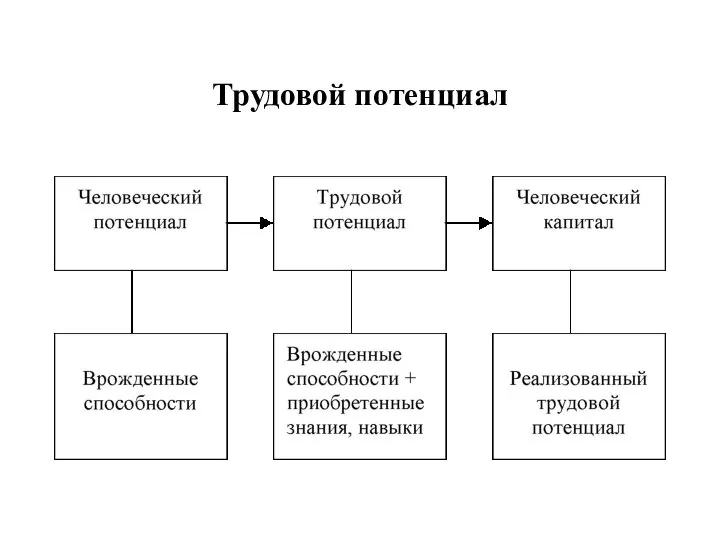 Трудовой потенциал