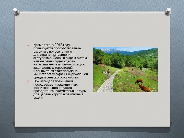 Кроме того, в 2018 году планируется способствование развитию приоритетного для страны