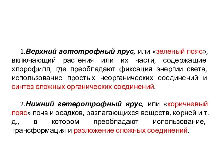 1.Верхний автотрофный ярус, или «зеленый пояс», включающий растения или их части,