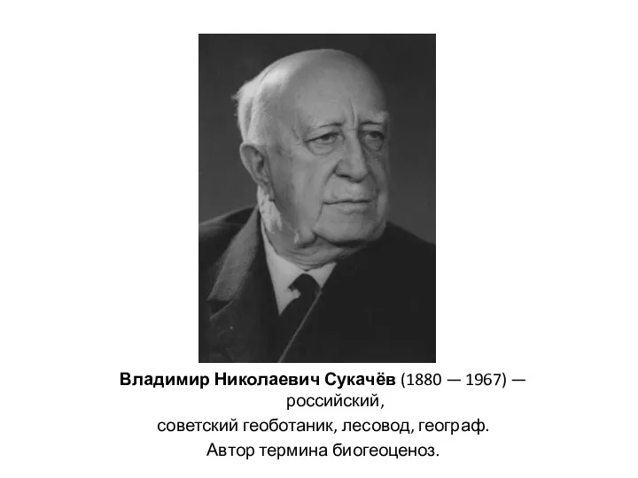 Владимир Николаевич Сукачёв (1880 — 1967) — российский, советский геоботаник, лесовод, географ. Автор термина биогеоценоз.