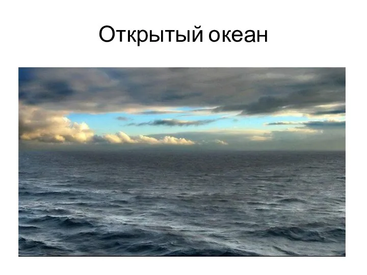 Открытый океан