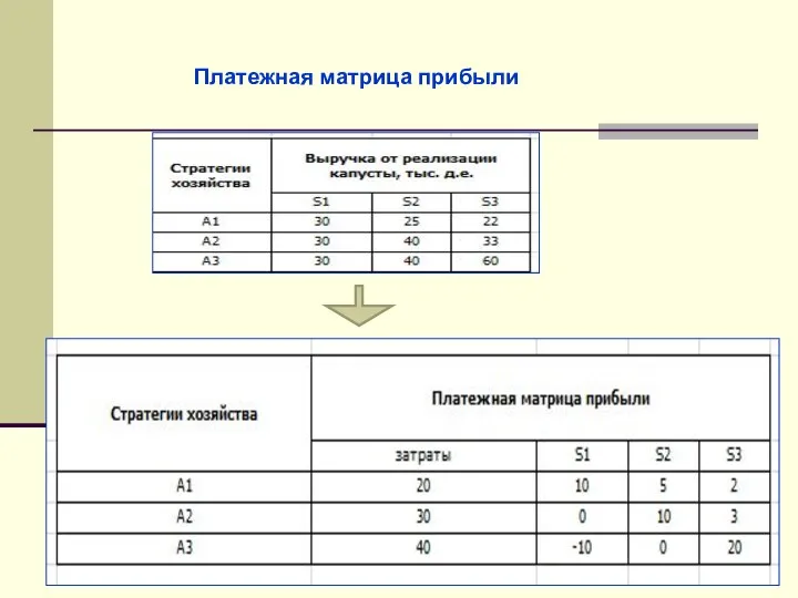 Платежная матрица прибыли