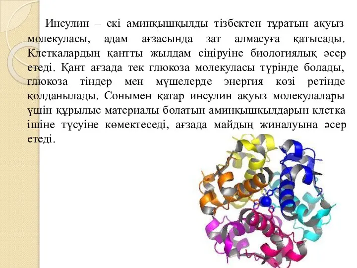 Инсулин – екі аминқышқылды тізбектен тұратын ақуыз молекуласы, адам ағзасында зат