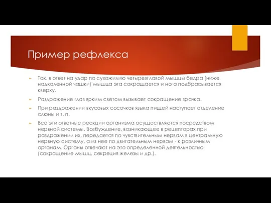 Пример рефлекса Так, в ответ на удар по сухожилию четырехглавой мышцы