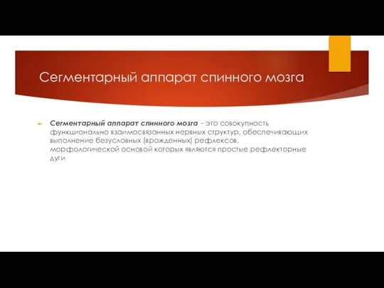 Сегментарный аппарат спинного мозга Сегментарный аппарат спинного мозга – это совокупность