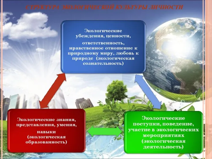 СТРУКТУРА ЭКОЛОГИЧЕСКОЙ КУЛЬТУРЫ ЛИЧНОСТИ