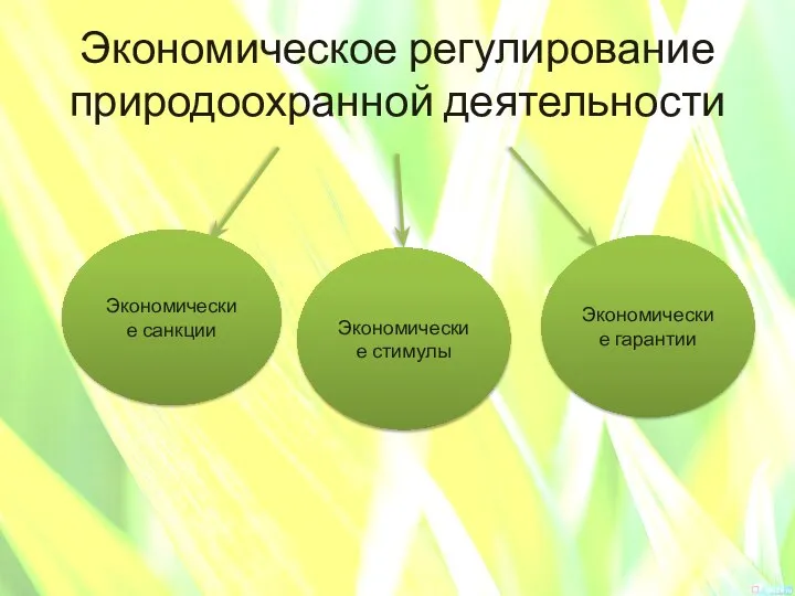 Экономическое регулирование природоохранной деятельности Экономические санкции Экономические стимулы Экономические гарантии