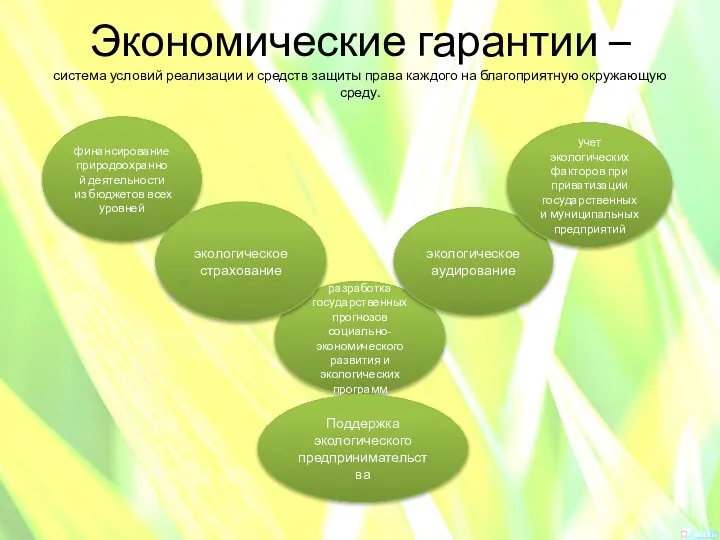 Экономические гарантии – система условий реализации и средств защиты права каждого