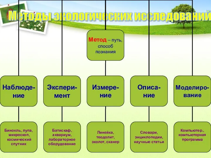 Методы экологических исследований