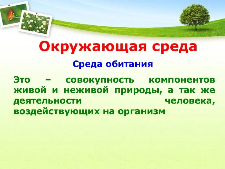 Окружающая среда Среда обитания Это – совокупность компонентов живой и неживой