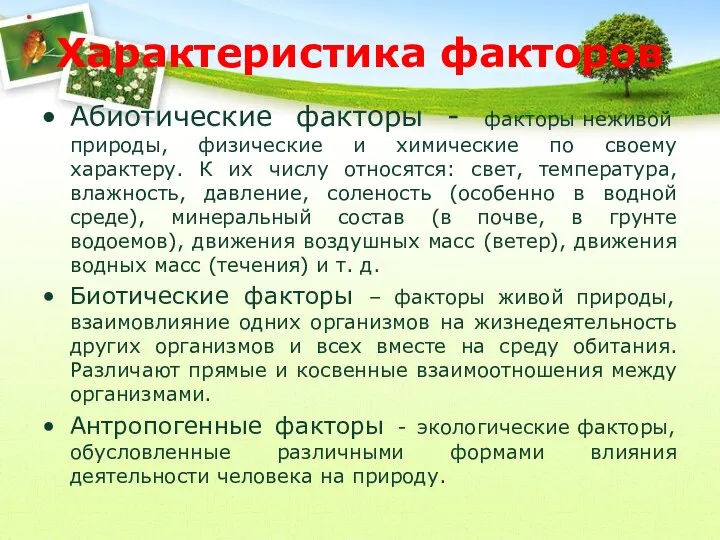 Характеристика факторов Абиотические факторы - факторы неживой природы, физические и химические