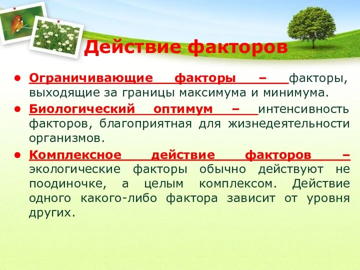 Действие факторов Ограничивающие факторы – факторы, выходящие за границы максимума и