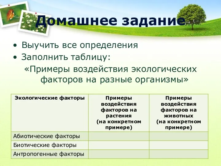 Домашнее задание Выучить все определения Заполнить таблицу: «Примеры воздействия экологических факторов на разные организмы»