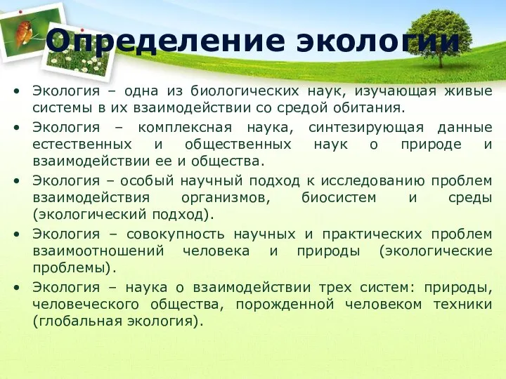 Определение экологии Экология – одна из биологических наук, изучающая живые системы