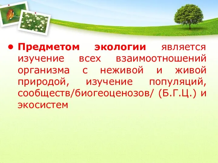 Предметом экологии является изучение всех взаимоотношений организма с неживой и живой