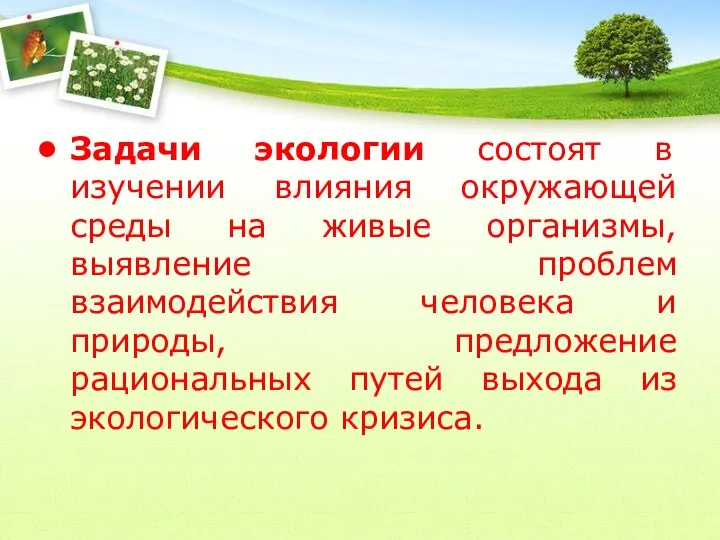 Задачи экологии состоят в изучении влияния окружающей среды на живые организмы,