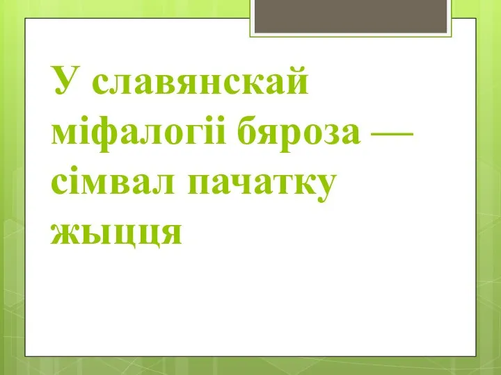 У славянскай міфалогіі бяроза — сімвал пачатку жыцця