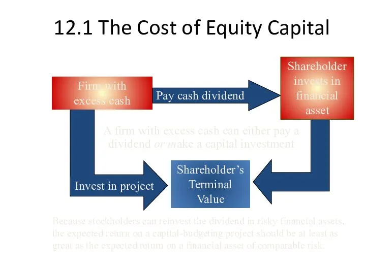 12.1 The Cost of Equity Capital Firm with excess cash Shareholder’s