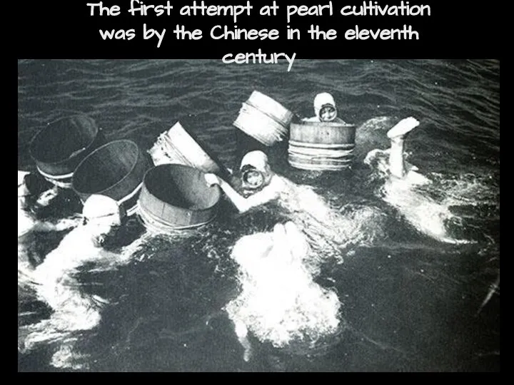 The first attempt at pearl cultivation was by the Chinese in the eleventh century