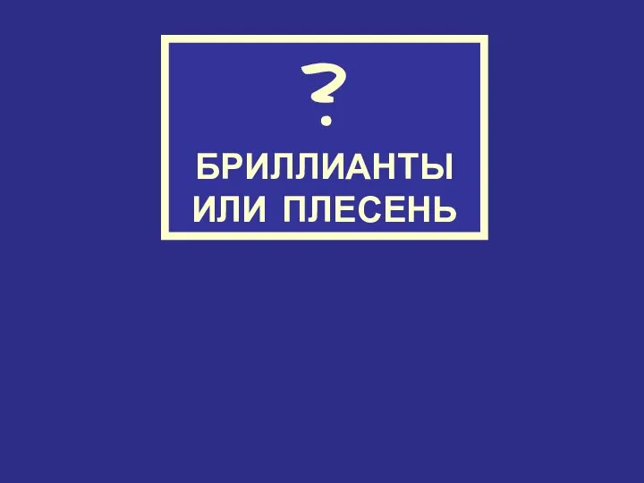 ? БРИЛЛИАНТЫ ИЛИ ПЛЕСЕНЬ