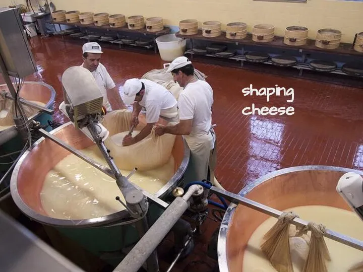 shaping cheese