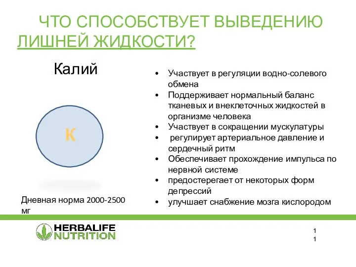 ЧТО СПОСОБСТВУЕТ ВЫВЕДЕНИЮ ЛИШНЕЙ ЖИДКОСТИ? Участвует в регуляции водно-солевого обмена Поддерживает