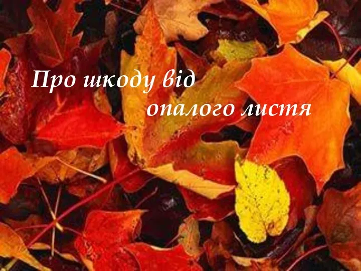 Про шкоду від опалого листя