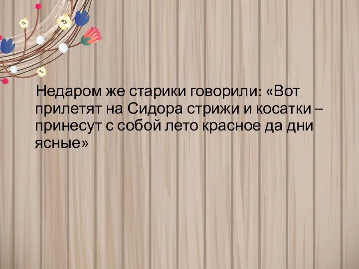 Недаром же старики говорили: «Вот прилетят на Сидора стрижи и косатки