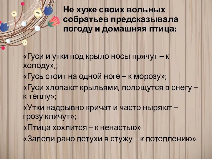 Не хуже своих вольных собратьев предсказывала погоду и домашняя птица: «Гуси