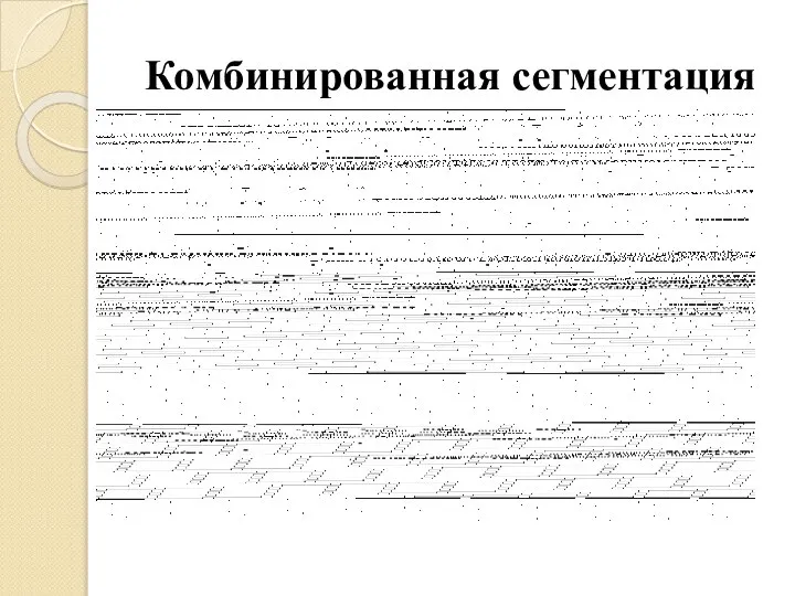 Комбинированная сегментация