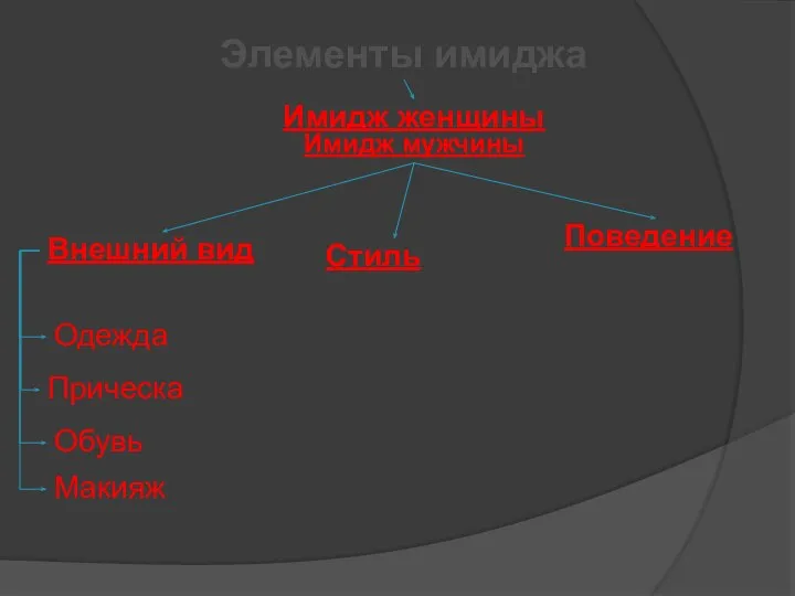 Одежда Прическа Макияж Обувь Стиль Поведение Элементы имиджа Имидж женщины Имидж мужчины Внешний вид