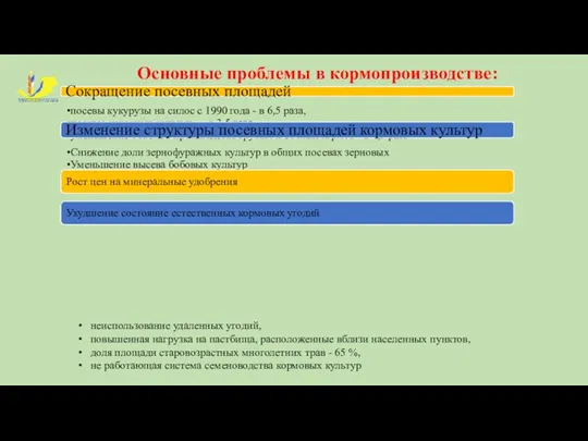 Основные проблемы в кормопроизводстве: Сокращение посевных площадей посевы кукурузы на силос