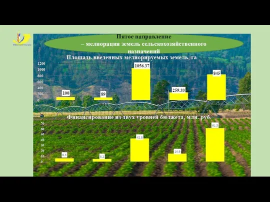 Пятое направление – мелиорация земель сельскохозяйственного назначений
