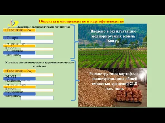 Объекты в овощеводстве и картофелеводстве Крупные овощеводческие хозяйства: «Гарантия – 2»
